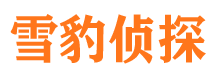 柳北市私家侦探